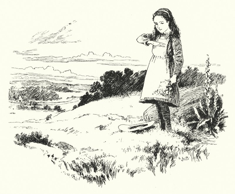 Lady bird, lady bird, fly hjem (gravering) av Leonard Leslie Brooke