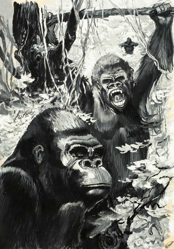 Gorillaer av Leslie Field Evans