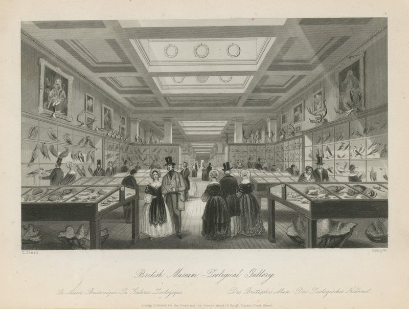 Zoologisk rom på British Museum av Llewellyn Jewitt