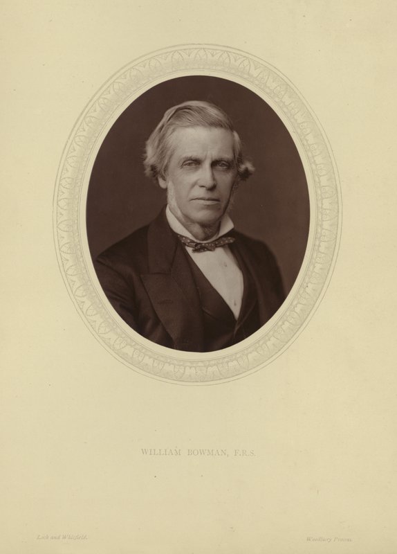 Portrett av Sir William Bowman av Lock and Whitfield