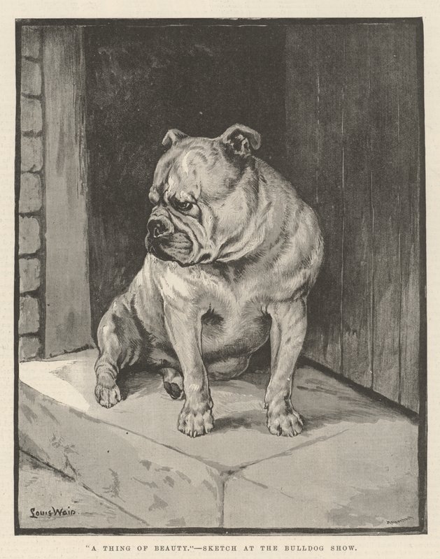 En ting av skjønnhet av Louis Wain
