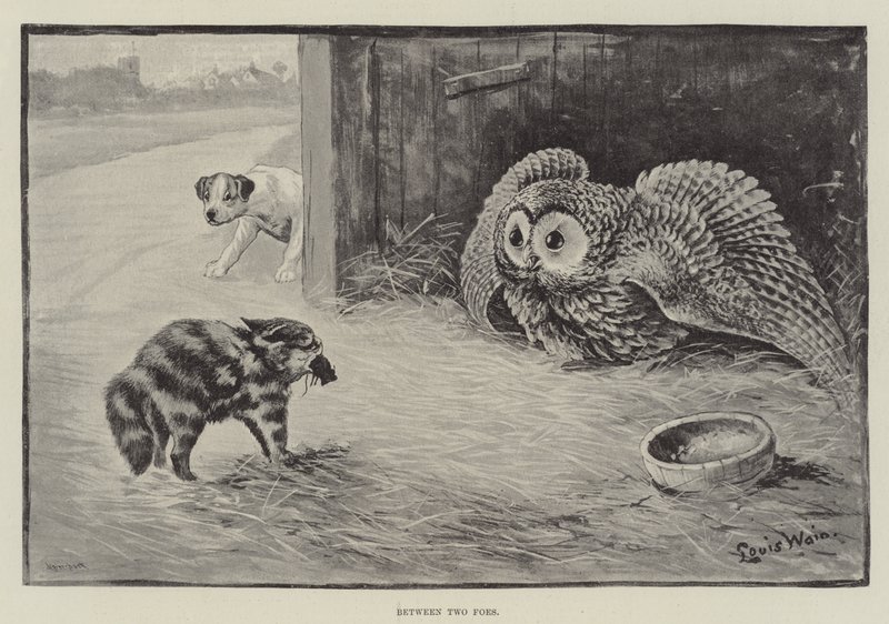 Mellom to fiender av Louis Wain