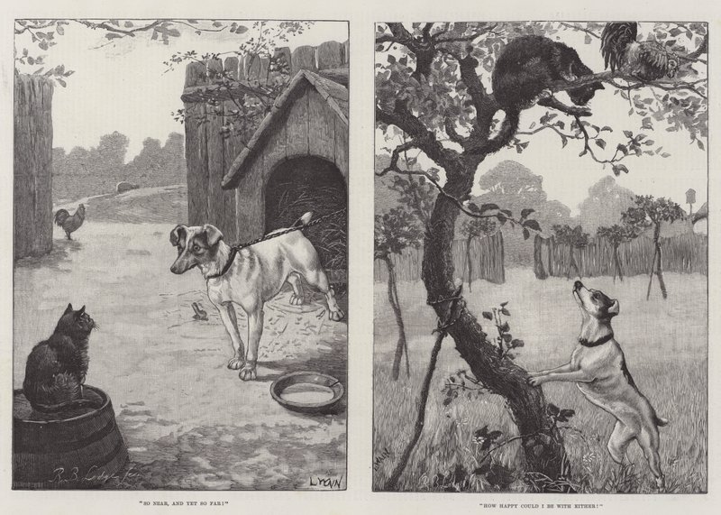 Katter og hunder av Louis Wain
