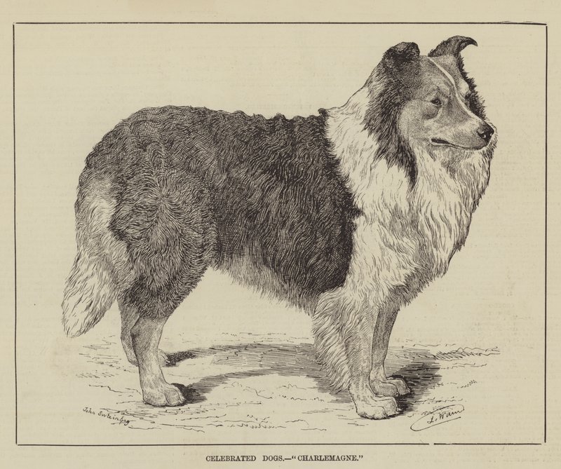 Feirte hunder, Karl den Store av Louis Wain