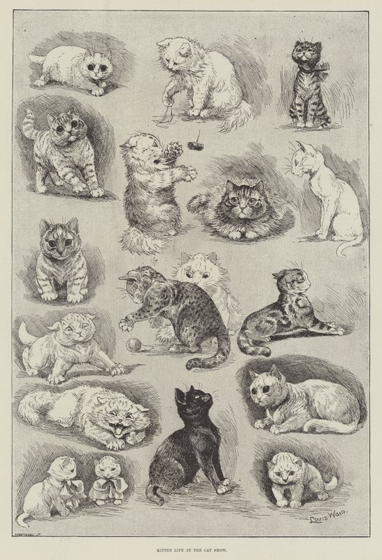Kattungeliv på katteutstillingen av Louis Wain