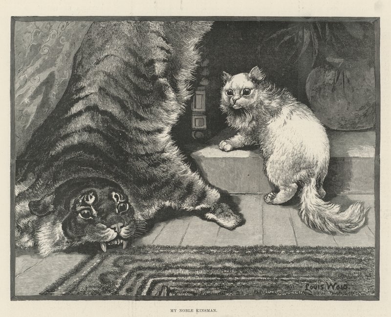 Min edle slektning av Louis Wain
