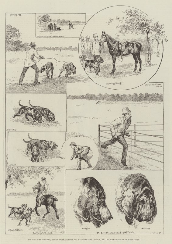 Sir Charles Warren, sjefkommissær for Metropolitan Police, prøver Bloodhounds i Hyde Park av Louis Wain