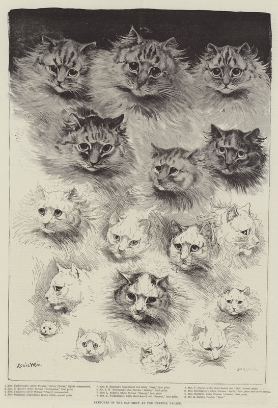 Skisser av katteutstillingen på Crystal Palace av Louis Wain