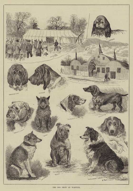 Hundeutstillingen på Warwick av Louis Wain