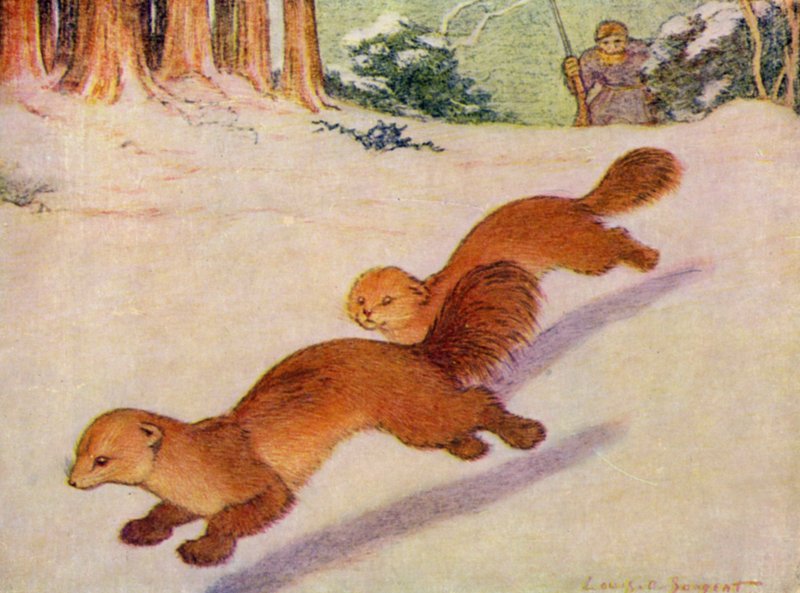 I dyrehagen: Martens (farge litho) av Louis Augustus Sargent