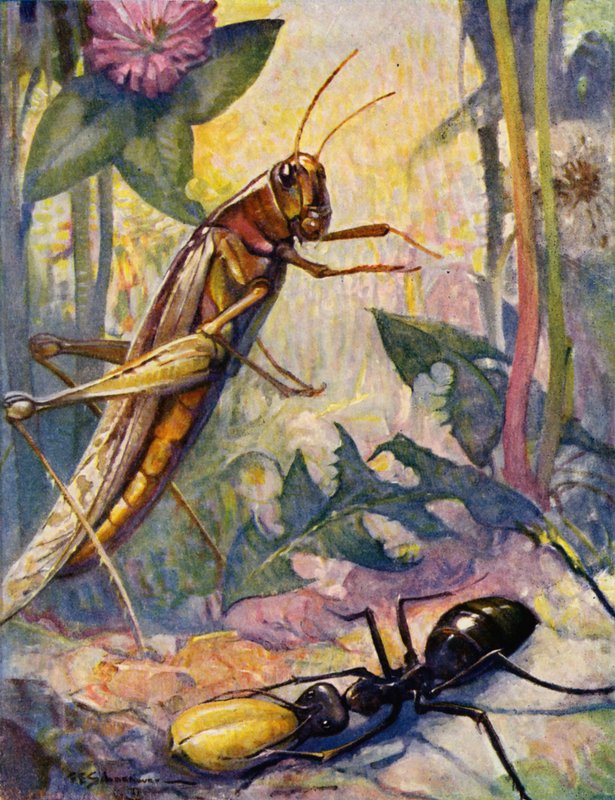  av Louis John Rhead