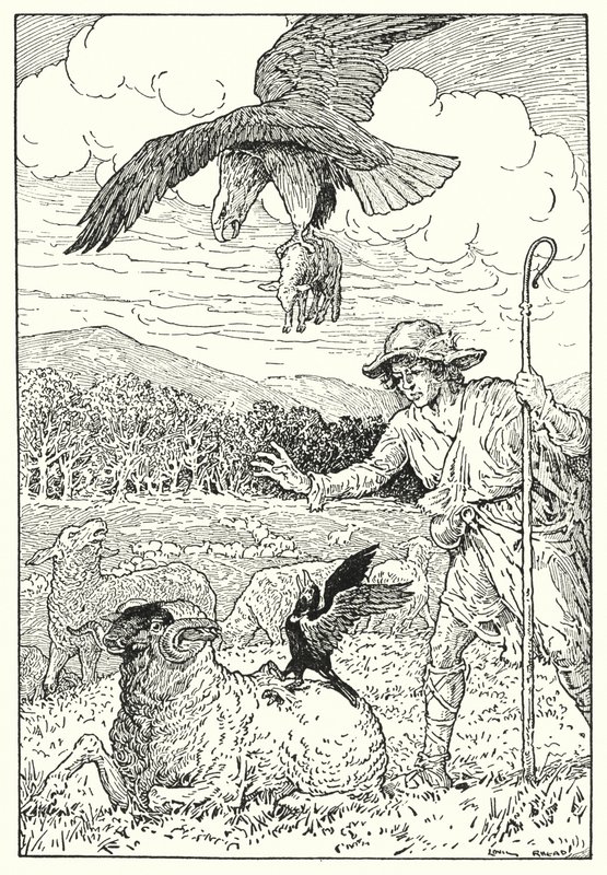  av Louis John Rhead