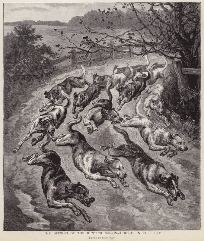 Hunder i full gråt ved starten av jaktsesongen (litho) av Louis Wain