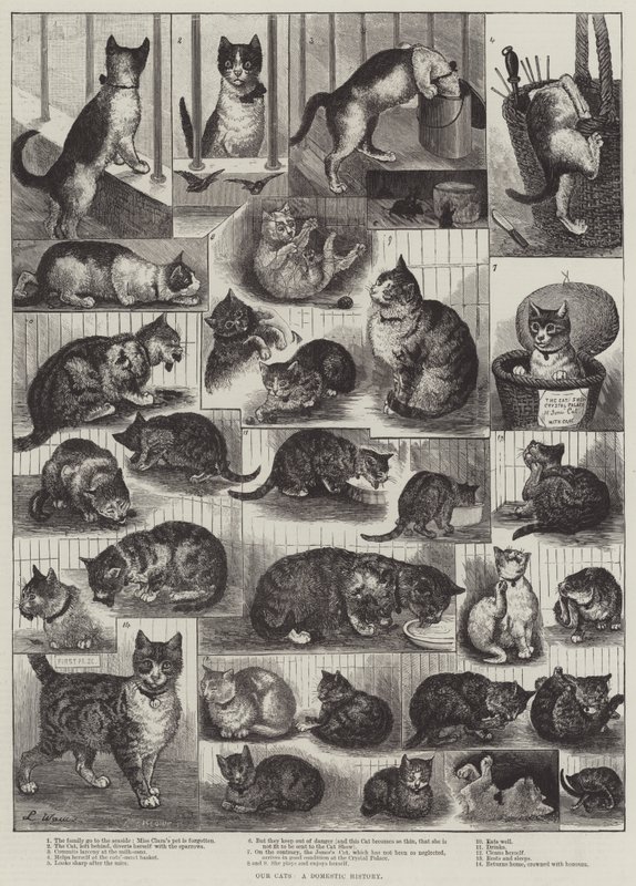 Våre katter, en innenlandshistorie av Louis Wain