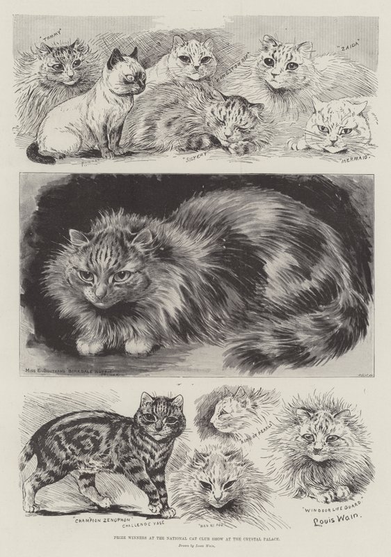 Prisvinnere på National Cat Club Show på Crystal Palace av Louis Wain