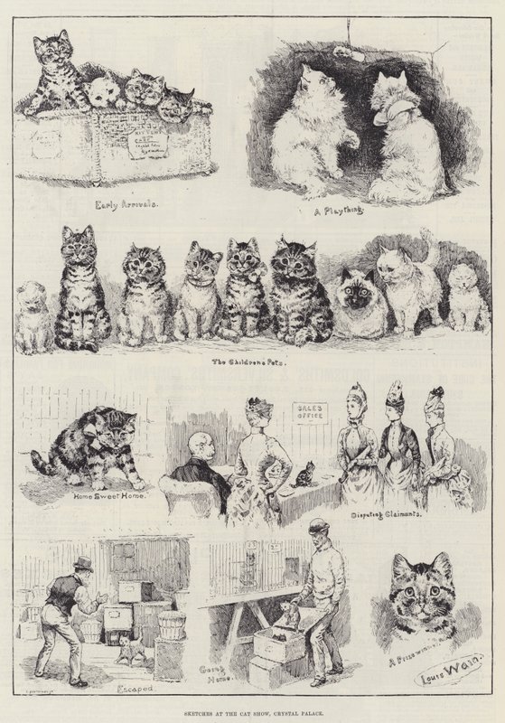 Skisser på Cat Show, Crystal Palace av Louis Wain
