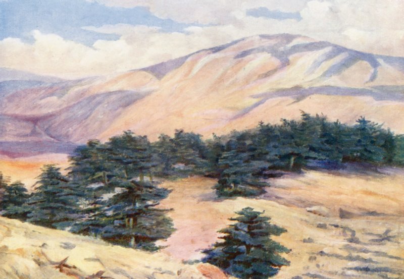  av Margaret Thomas