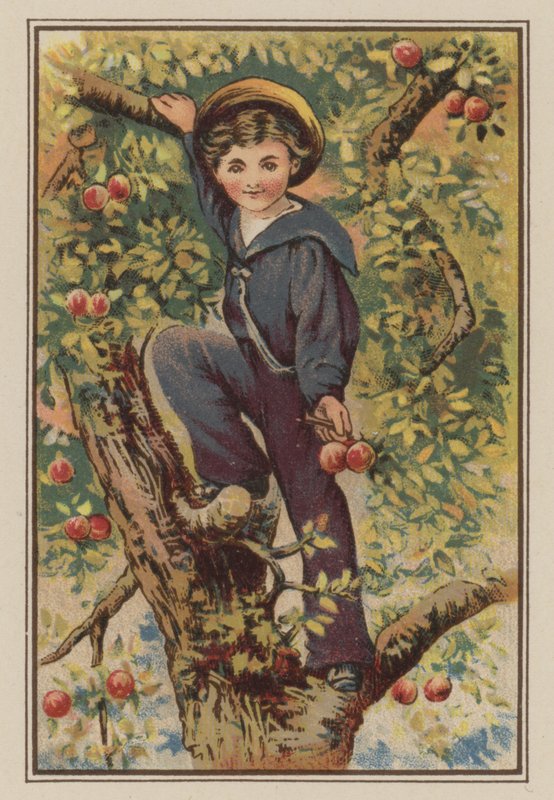 Gutt som klatrer i epletre (chromolitho) av Mary Ellen Edwards