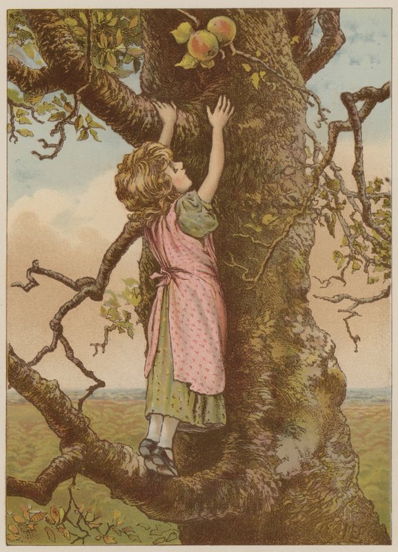 Jente som klatrer for siste epler (chromolitho) av Mary Ellen Edwards