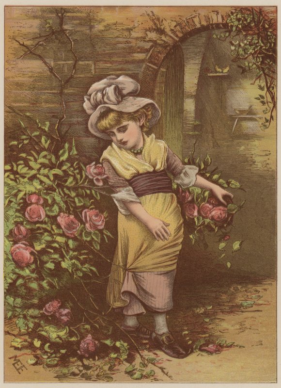 Jente plukker roser (chromolitho) av Mary Ellen Edwards
