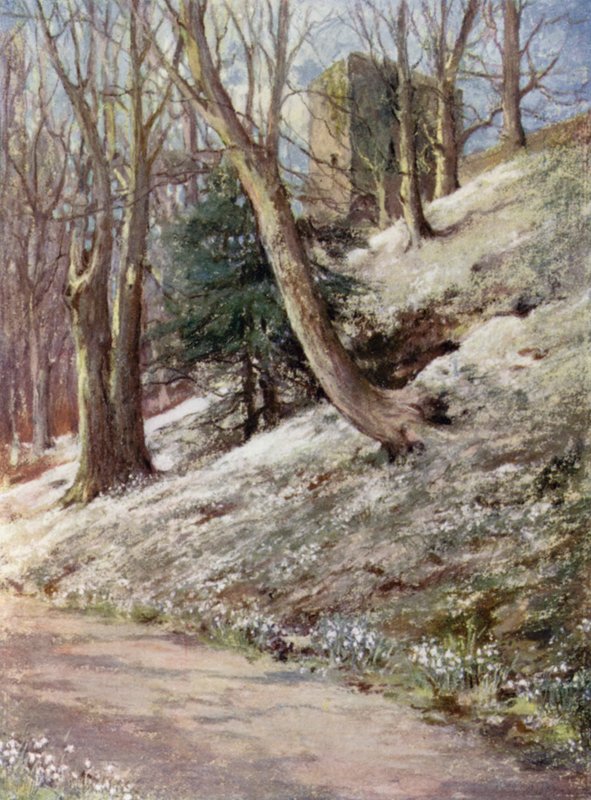 Scottish Gardens: Ardgowan (farge litho) av Mary Georgina Wade Wilson