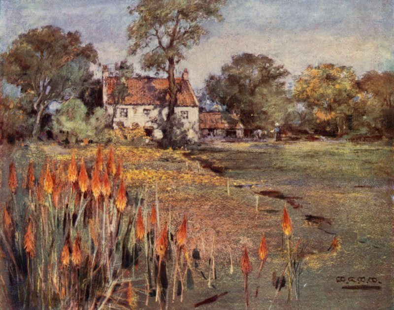 Scottish Gardens: Cocker's Nursery, Aberdeen (farge litho) av Mary Georgina Wade Wilson