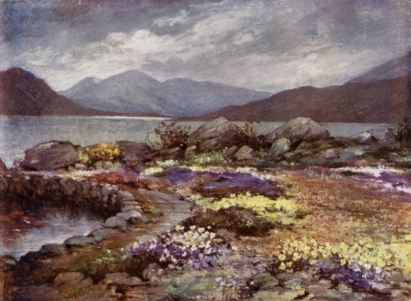 Scottish Gardens: Corrour (farge litho) av Mary Georgina Wade Wilson