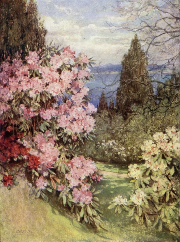 Scottish Gardens: Stonefield av Mary Georgina Wade Wilson
