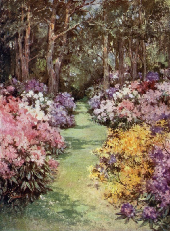 Scottish Gardens: The Hirsel (farge litho) av Mary Georgina Wade Wilson