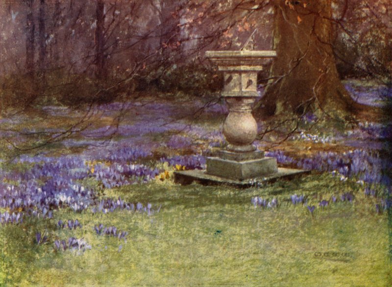 Scottish Gardens: Whitehouse (farge litho) av Mary Georgina Wade Wilson