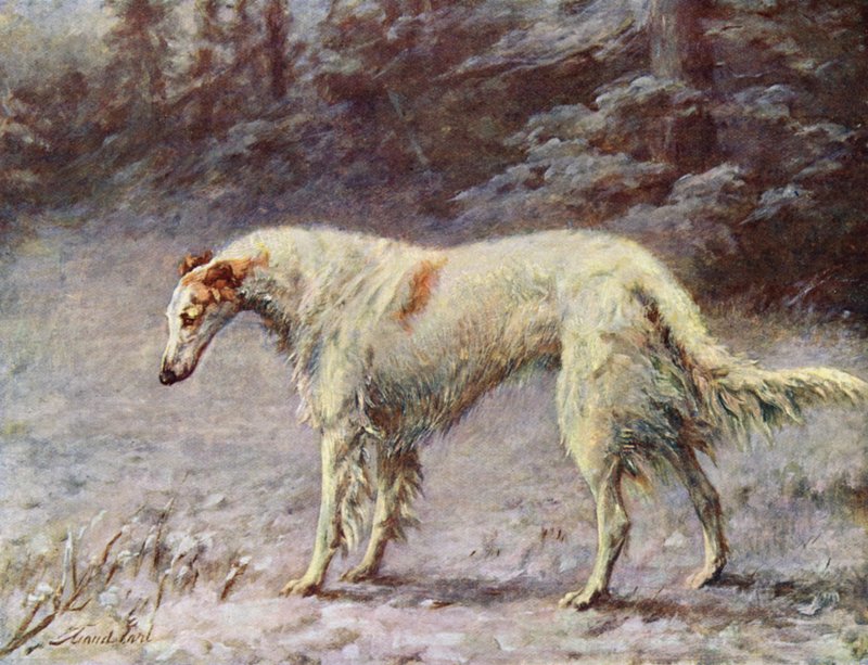 Mester Ivan Turgeneff av Maud Earl