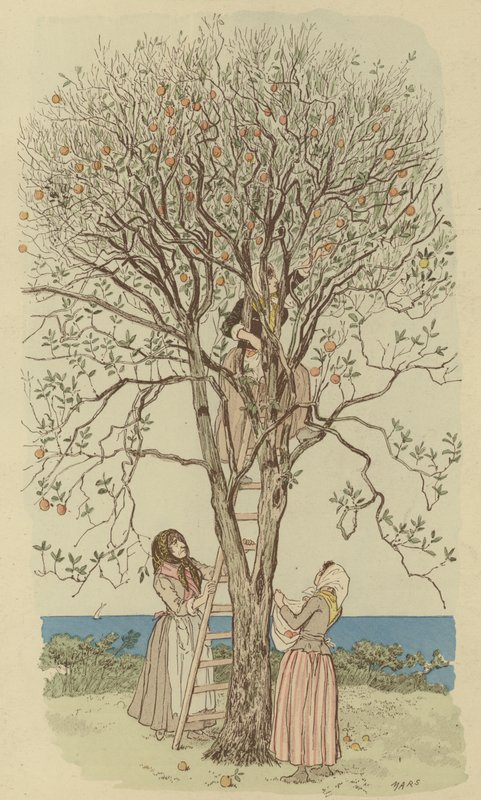 Plukke appelsiner ved Middelhavet (farge litho) av Maurice Charles Mathieu Bonvoisin