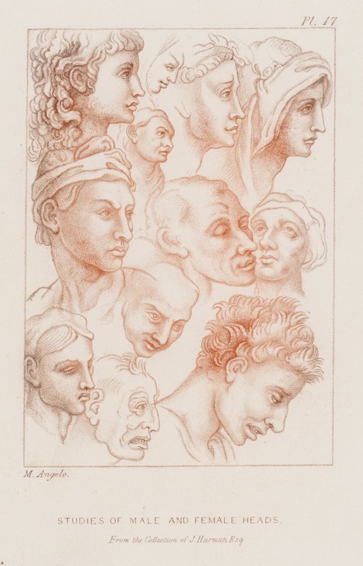 Studier av mannlige og kvinnelige hoder (etsing) av Michelangelo (after) Buonarroti