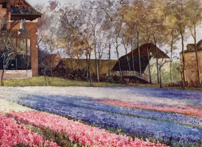 En nederlandsk hage om våren (farge litho) av Mima Nixon