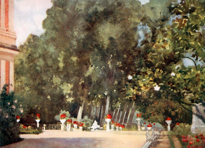 Magnolia-treet, Aranjuez av Mima Nixon