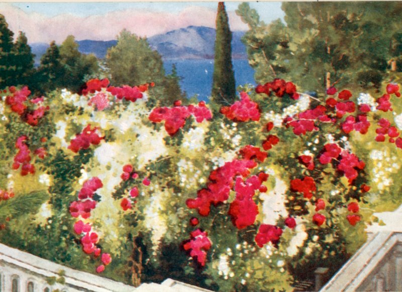 Rose Pergola, Achilleion, Korfu av Mima Nixon