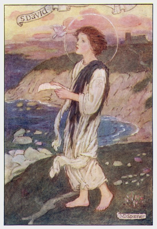 Saint David (farge litho) av Minnie Didbin Spooner