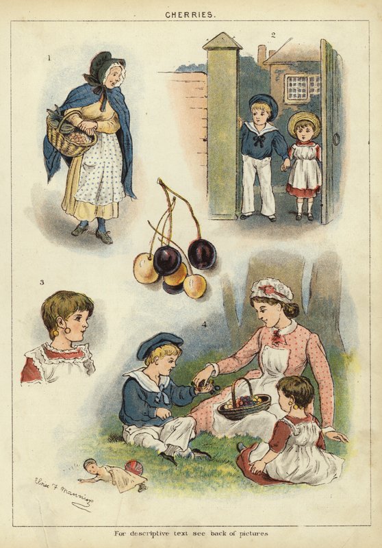 Kirsebær (chromolitho) av Miss Eliza F. Manning