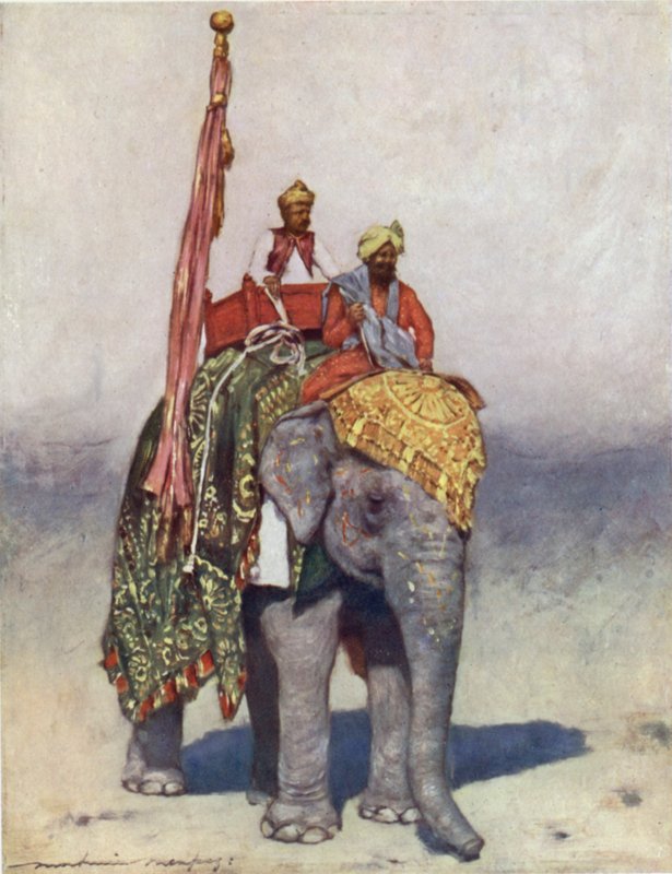 En elefant fra Jaipur av Mortimer Ludington Menpes
