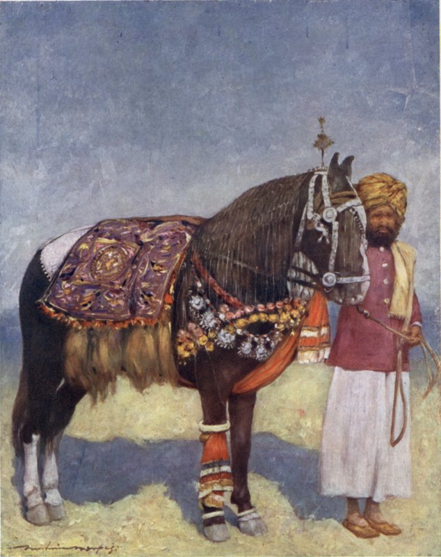 En hest fra Jodhpur (farge litho) av Mortimer Ludington Menpes