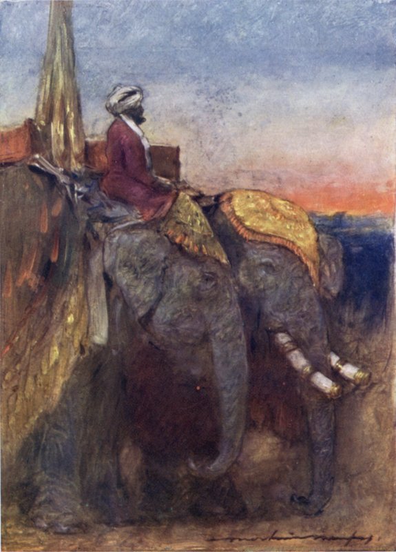 Jaipur-elefanter (litho-farge) av Mortimer Ludington Menpes