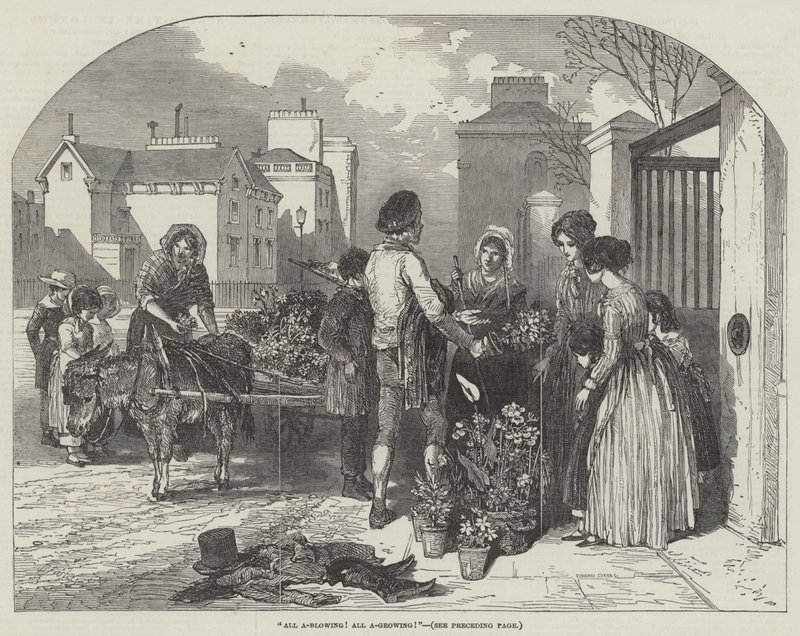 All A-Blowing! Alle A-Voksende! av Myles Birket Foster