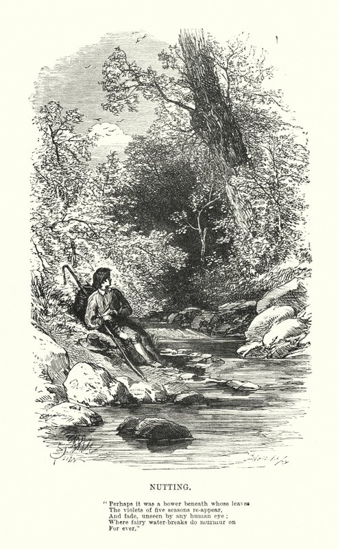 William Wordsworth: Nutting (gravering) av Myles Birket (after) Foster