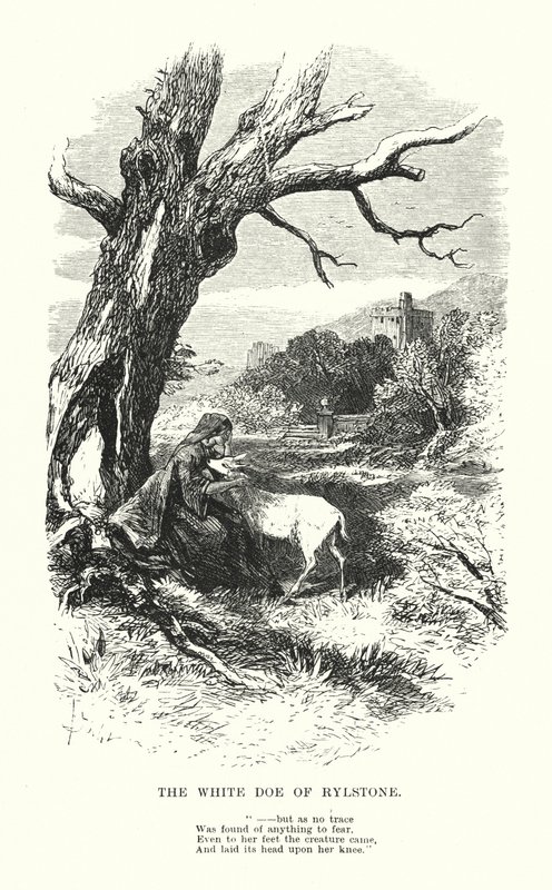 William Wordsworth: The White Doe of Rylstone (gravering) av Myles Birket (after) Foster
