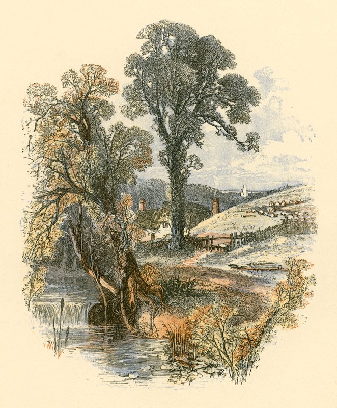 Naturens skjønnheter av Myles Birket Foster