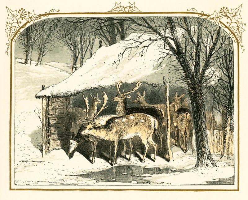 Hjort i snøen av Myles Birket Foster