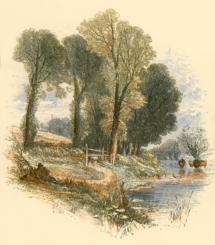 Søndagsturer av Myles Birket Foster