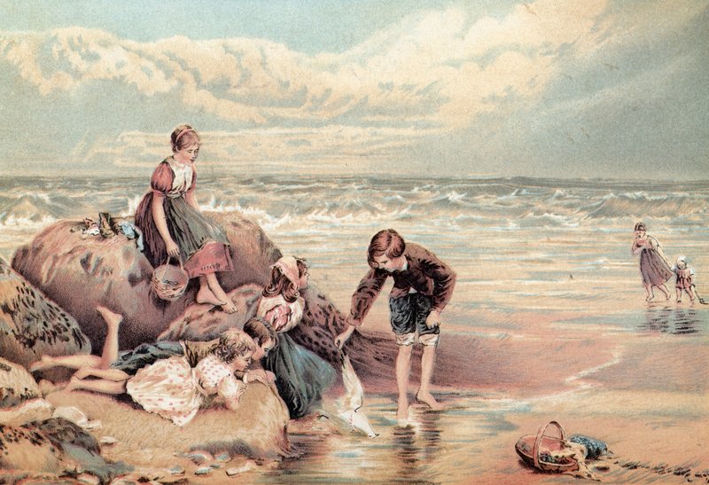 Den døde havfuglen av Myles Birket Foster