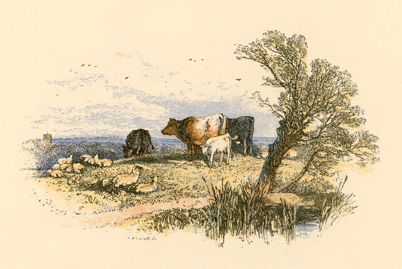 Kirkeklokkene av Myles Birket Foster