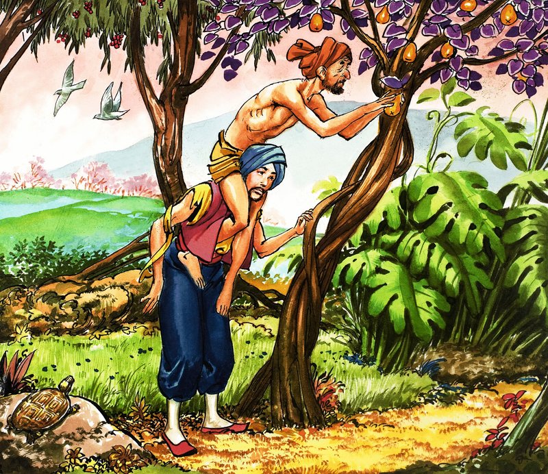 Sinbad sjømannen av Nadir Quinto